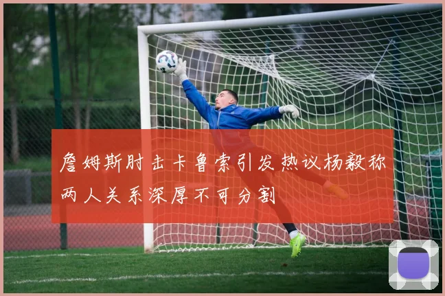 詹姆斯肘击卡鲁索引发热议杨毅称两人关系深厚不可分割